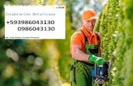 Servicios de Jardinería y césped Ecuador