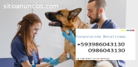 Veterinaria a domicilio Guayaquil Guayas