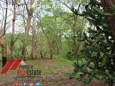 finca en venta en masaya