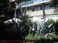 ¡¡¡TRASPASO RESTAURANTE POR JUBILACION.- a 50 m. clinica corachan ¡¡