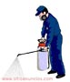 fumigaciones en murcia y almeria 