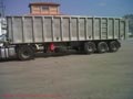 benalu 10, 60x1, 85