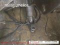 PULPO EN VENTA 
