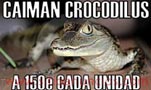 Caimanes Crocodilus a tan solo 150?
