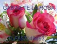 GABINETE LA ROSA ABRE TUS CAMINOS