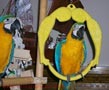 Hablando azul y oro loros guacamayos 