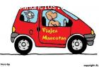 Traslado de mascotas-ViajesMascotas