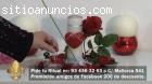 Ritual San Valentin