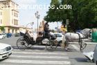 COCHES DE CABALLOS PARA BODAS.