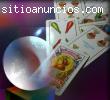 vidente