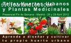 Taller Huertos Urbanos y Plantas me