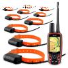 Garmin Astro 320 Collar GPS Trackin
