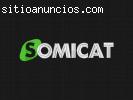 Literas somicat