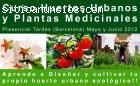 Curso huertos urbanos y plantas med