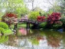 Jardinero