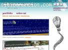 DISEÑO PAGINAS WEB ECONOMICO