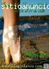 curso de verano de ballet y conte