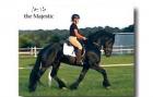 Impresionante Caballo Frison