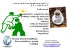 Plan Empresarial, Encuestas