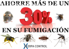 empresa de fumigaciones en lorca