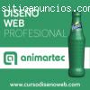 Curso de Diseño Web Profesional