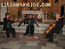 Musica especial Bodas Sevilla Cadiz