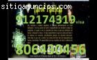806430456 visa 912174319 tarot