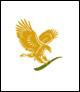 OPORTUNIDAD DE NEGOCIO - FOREVER LIVING