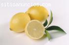 Limones del Terreno