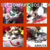 LIDIA-ADELITA. Pequeña rescatada casi mo