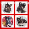 VIXEN, traviesa gatita carey de tan solo
