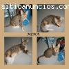 NINA. Abandonada cerca de unos contenedo