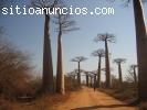 Madagascar - Descubre Nosy Be por 1.798€