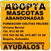 GRATUITO. Adopcion Mascotas, Perros, Gat