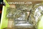 carnabis para el pote de venta