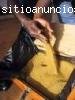 Venta de lingotes de oro y polvo muy urg