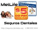 Comprar Seguros Dentales Metlife En Texa
