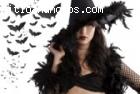 REGRESO PAREJA EN HORAS 3138958664 COLOM