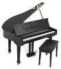PIANO TUNER AND TECHNICIAN