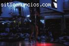 Se necesita bailaria para club