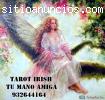 Tarot irish tu guia espiritual