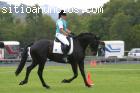 Caballos Hermosos.(Madonna y Lilly para