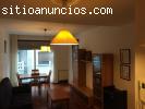 Apartamento 1 dorm en pza de la curtidoira en pontevedra