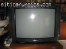 Televisor sony trinitron 21 pulgadas