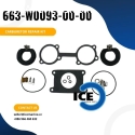 Carburetor Repair Kit 663-W0093-00-00