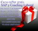 Curso Taller Gratis SAP y Coaching Labor