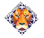 Extintores Lioness