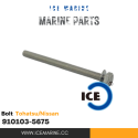 ICE Marine Bolt