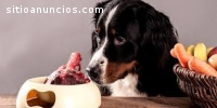 ¿Quieres que tu perro viva MÁS!
