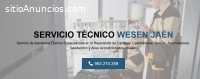 Servicio Técnico Ariston Wesen 953274259